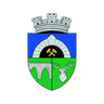 Logo Anenii Noi Féminines