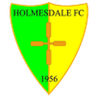 Logo Holmesdale