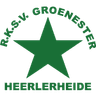 Logo Groene Ster
