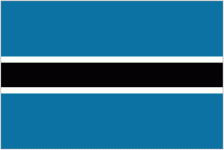 Logo Botswana Féminines