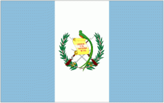 Logo Guatemala Féminines