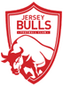 Logo Jersey Bulls