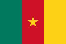 Logo Cameroon Féminines