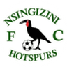Logo Nsingizini Hotspurs
