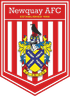 Logo Newquay
