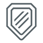 Logo NSVV