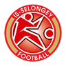 Logo Selongey