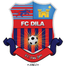 Logo Dila