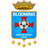 Logo Blooming