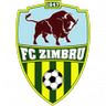 Logo Zimbru