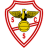 Logo Salgueiros