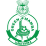 Logo Green Mamba
