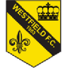Logo Westfield (Surrey)