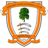 Logo Ashford Town (Middlesex)