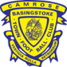 Logo Basingstoke Town