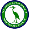 Logo Biggleswade