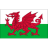 Logo Pays de Galles