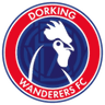 Logo Dorking Wanderers