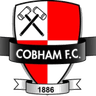 Logo Cobham