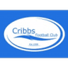 Logo Cribbs