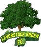 Logo Leverstock Green