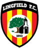 Logo Lingfield