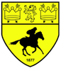 Logo Newmarket Town