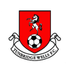Logo Tunbridge Wells