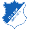 Logo Hoffenheim II